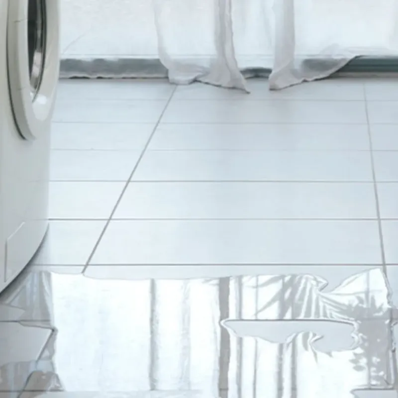 Appliance Leak Cleanup in Ball Ground, GA