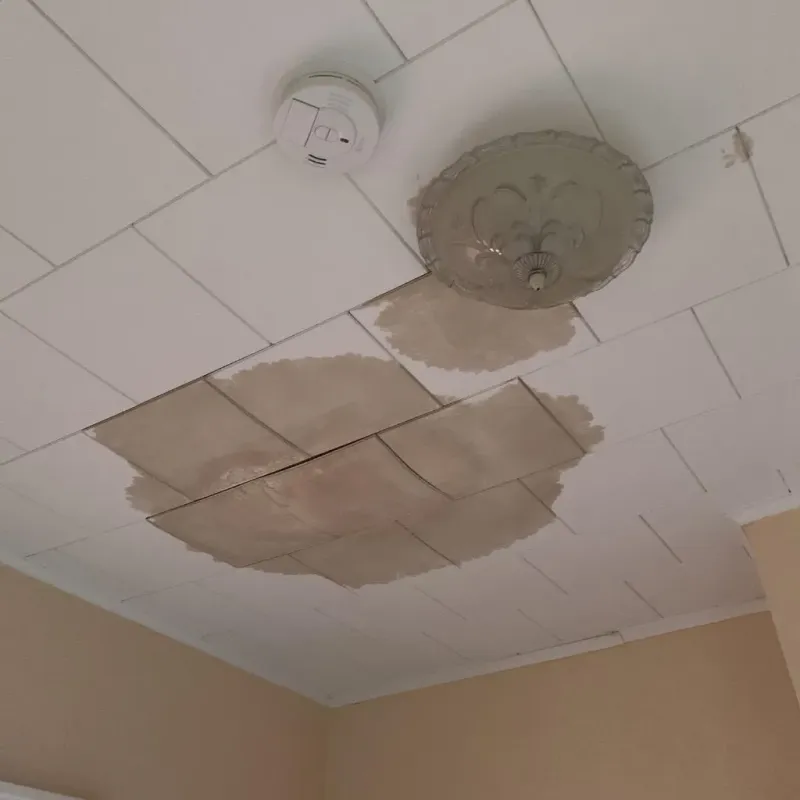 Ceiling Water Damage Repair in Ball Ground, GA