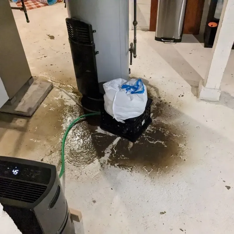 Sewage Backup Cleanup Service in Ball Ground, GA